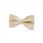 Boys Paisley Floral Satin Bow Tie
