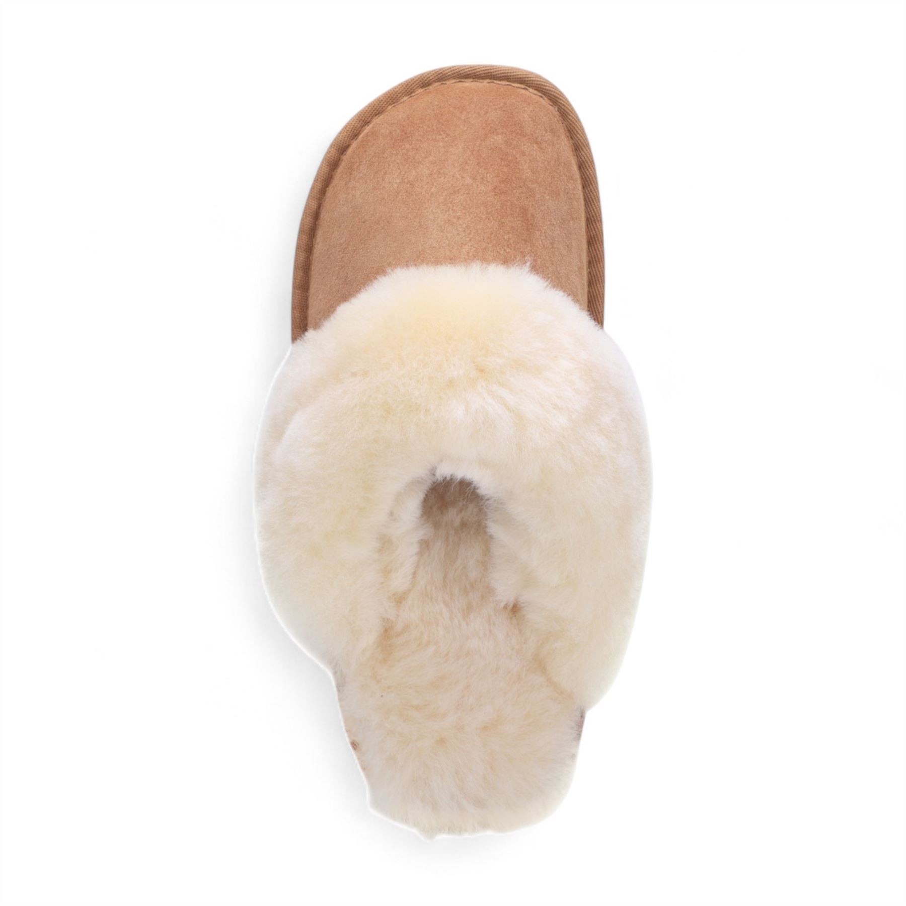 Luna - Women's Sheepskin Suede Mule Slippers