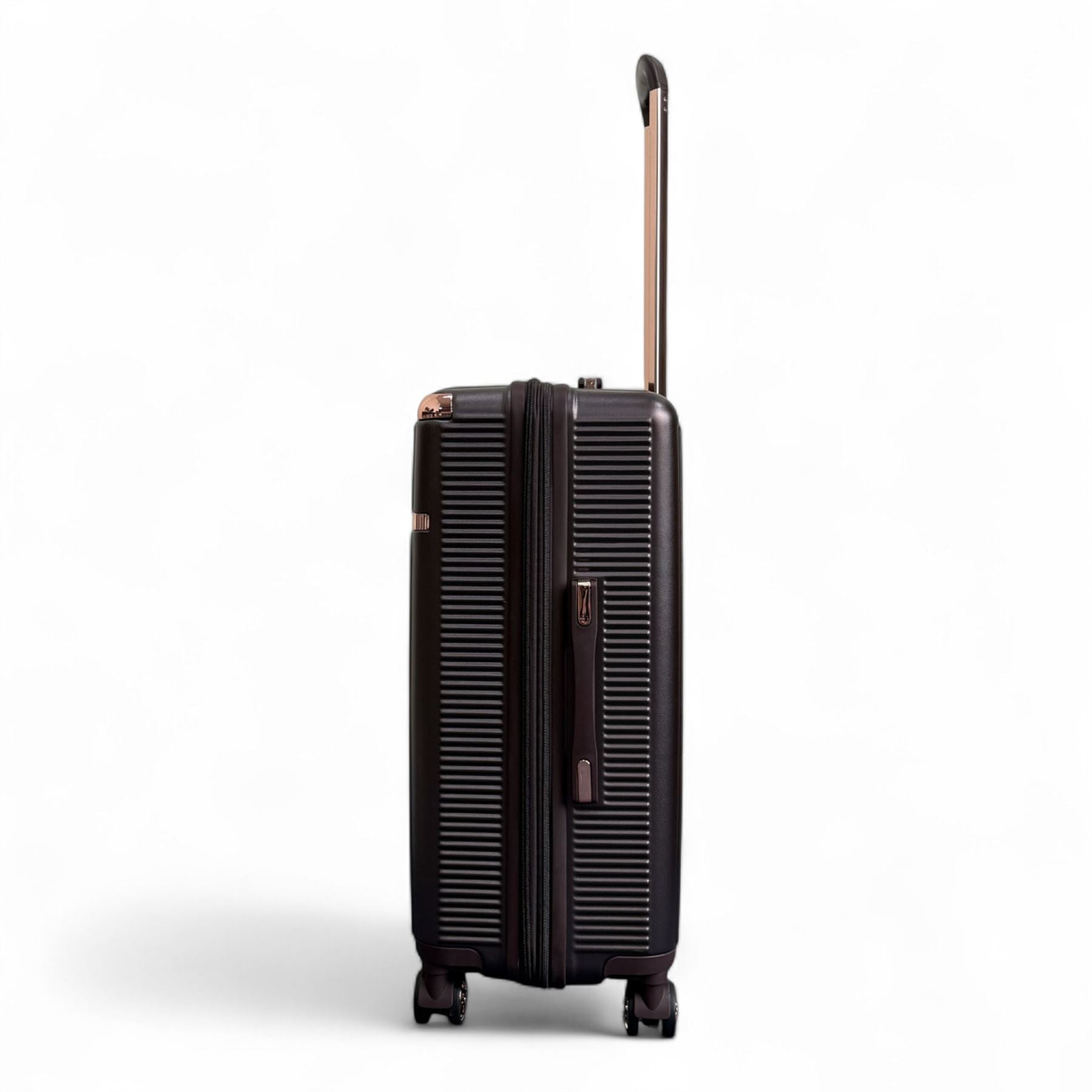 Hard Shell Luggage 8 Spinner Wheels Travel Suitcase