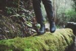 Blundstone 566 Stivaletti Chelsea in pelle termica nera, modello slip-on retrò in nabuk nero - Knighthood Store